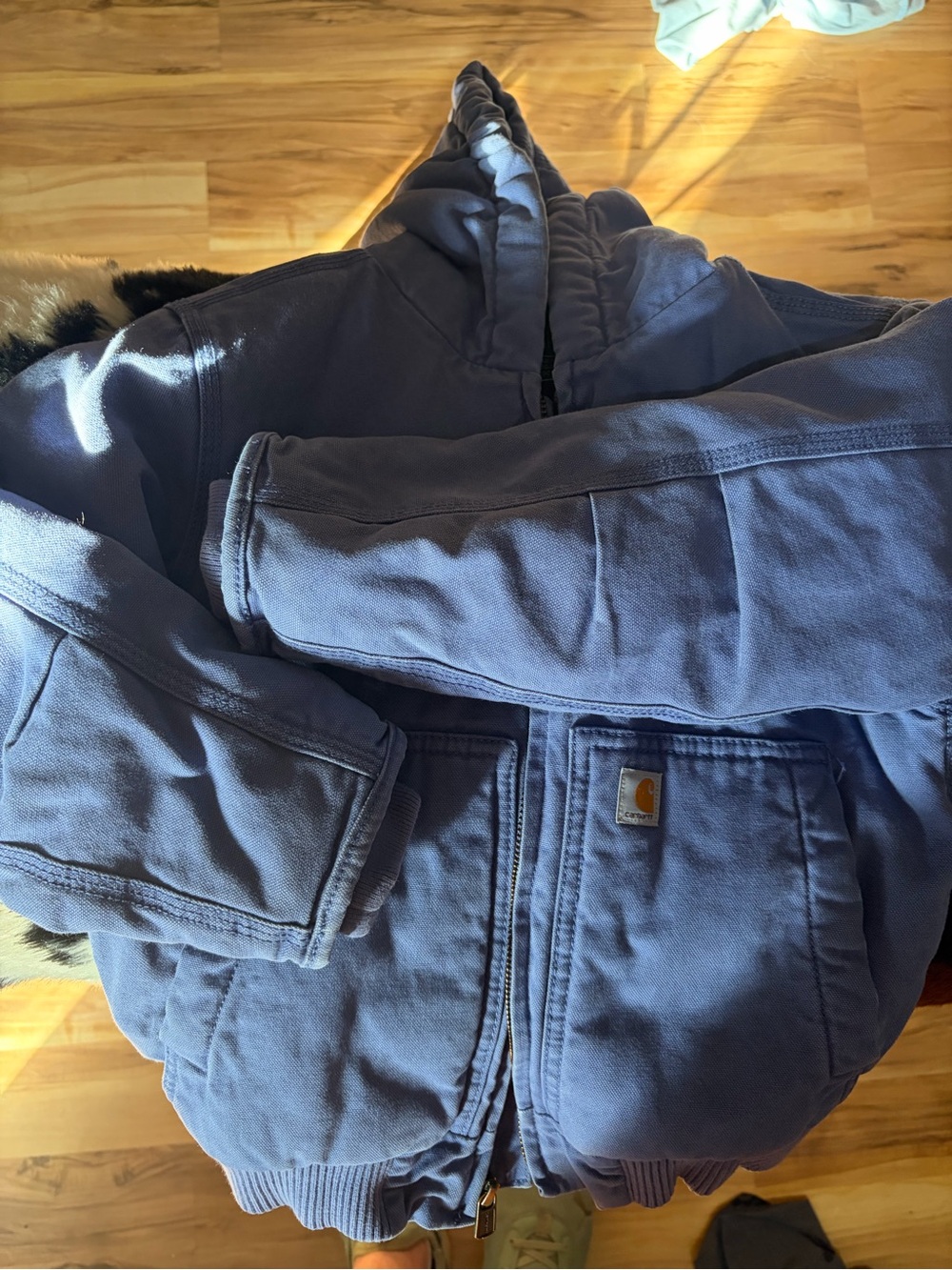 Carhartt Sherpa-Lined Hooded Jacket in Light Blue and Black